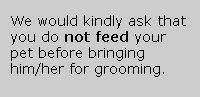 Please do not feed your pet before grooming